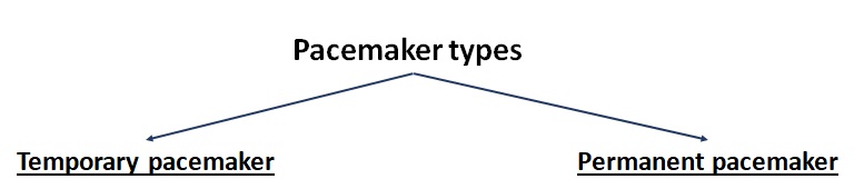 Pacemaker types 